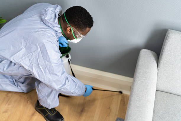 Best Pest Control for Hotels  in Celina, TN